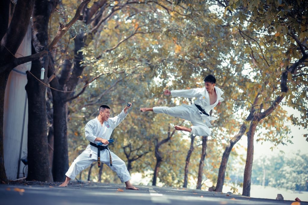 Karate instructors sparring in a park