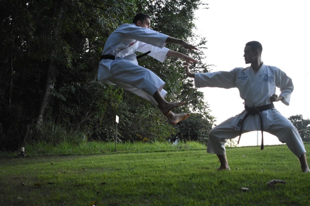 Taekwondo instructors practicing in a park