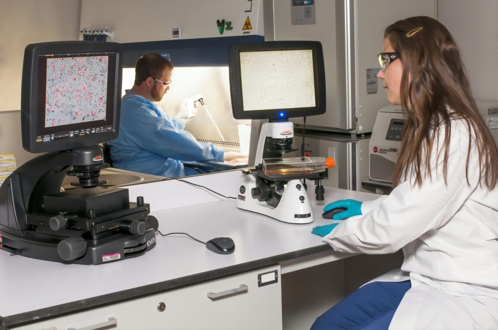 Phlebotomists studying blood samples in a laboratory