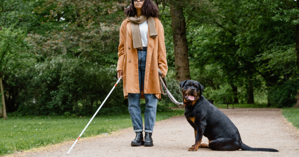 Service Dog Training